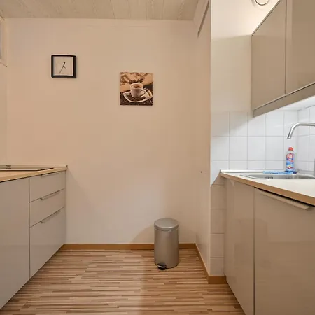 Triebler Whg 3-1-10 Apartment